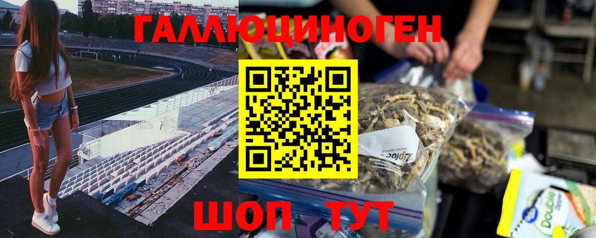 Урус-Мартан  Псилоцибиновые грибы GOLDEN TEACHER  Вход с VPN 